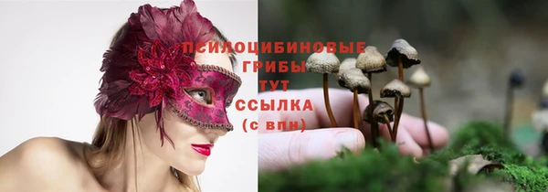 винт Балахна